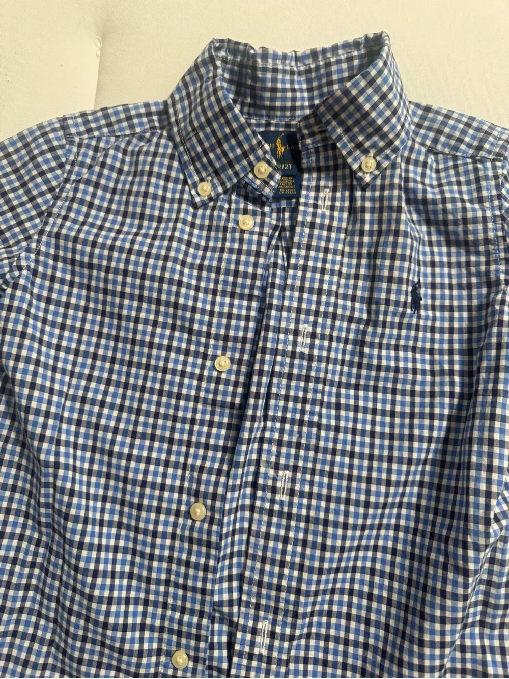 Ralph Lauren Blue and White Check Button-Down Shirt for Kids